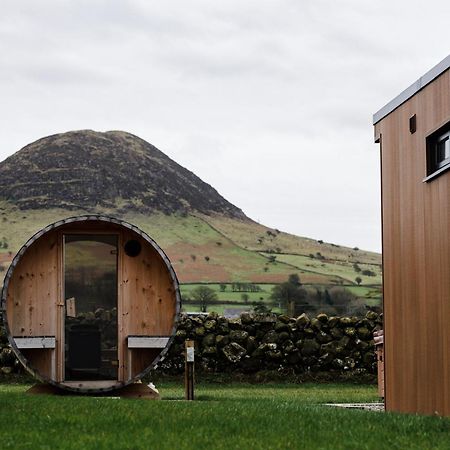 Slemish Hideaway - Funky Pheasant Villa Broughshane Bagian luar foto