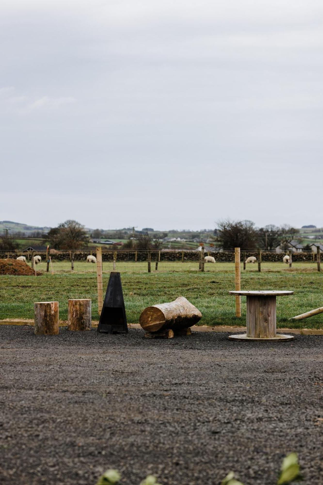Slemish Hideaway - Funky Pheasant Villa Broughshane Bagian luar foto