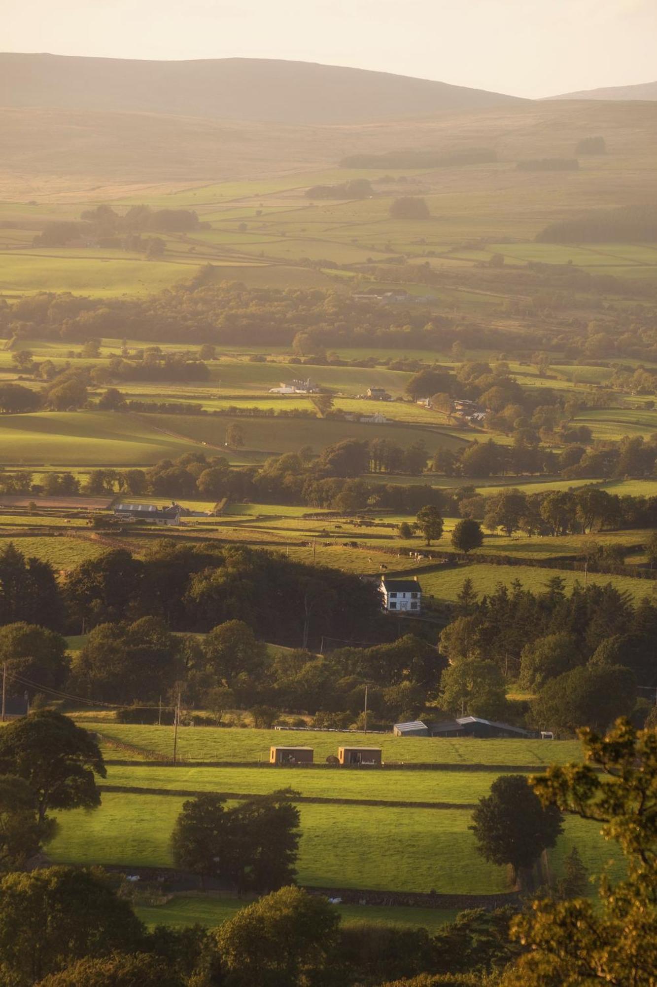 Slemish Hideaway - Funky Pheasant Villa Broughshane Bagian luar foto